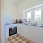 Rent 1 bedroom apartment of 35 m² in Livorno