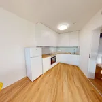 Pronajměte si 3 ložnic/e byt o rozloze 92 m² v Prague