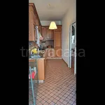 Rent 3 bedroom apartment of 75 m² in Piacenza