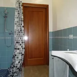 Rent 1 bedroom apartment of 40 m² in San Carlo Canavese