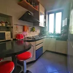 Rent 3 bedroom apartment of 60 m² in Trieste