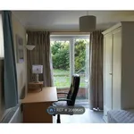 Rent a room in Colchester