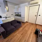 Rent 2 bedroom apartment of 65 m² in Turin