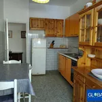 Rent 4 bedroom apartment of 65 m² in Grosseto