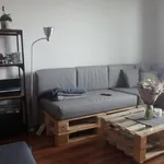 Rent 1 bedroom apartment of 43 m² in Příbor