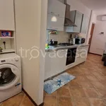 Rent 2 bedroom apartment of 40 m² in Potenza Picena