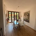 Rent 3 bedroom apartment of 100 m² in Pisa