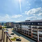 Rent 2 bedroom apartment of 48 m² in Sanpetru