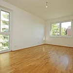 Rent 2 bedroom apartment of 54 m² in Graz