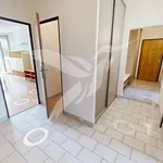 Rent 4 bedroom apartment of 94 m² in Capital City of Prague