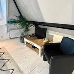 Huur 1 slaapkamer appartement van 50 m² in Den Haag