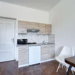 Rent 1 bedroom apartment of 30 m² in Vejprnice