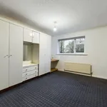 Rent 3 bedroom house in Bradford