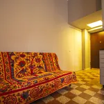 Rent 1 bedroom apartment of 19 m² in Milano