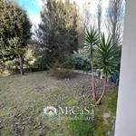 Rent 3 bedroom apartment of 45 m² in Pisa