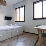 Rent 2 bedroom apartment of 35 m² in Bologna