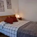 Rent 1 bedroom apartment in Dublin