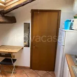 Rent 1 bedroom apartment of 16 m² in Bologna