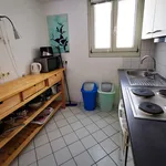 Rent 1 bedroom apartment of 50 m² in Heidelberg