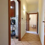 Rent 4 bedroom apartment of 87 m² in Casalecchio di Reno