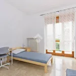 Rent 1 bedroom apartment of 20 m² in Bra