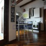 Rent 1 bedroom apartment of 45 m² in Cremona