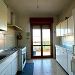 Rent 3 bedroom apartment of 110 m² in Roma