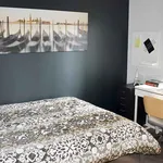 Rent 1 bedroom apartment in Ottawa