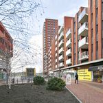 Rent 3 bedroom apartment in Eindhoven