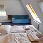 Rent 1 bedroom apartment of 22 m² in Bonn