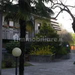 Rent 2 bedroom apartment of 47 m² in Udine