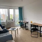 Rent 3 bedroom apartment of 3 m² in Sosnowiec