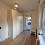 Rent 3 bedroom apartment of 60 m² in Szczecin