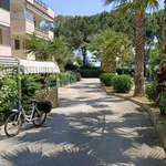 Rent 3 bedroom apartment of 110 m² in Giulianova