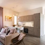 Rent 1 bedroom apartment of 80 m² in milan