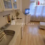 Rent 1 bedroom apartment in Capital City of Prague