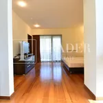 Rent 3 bedroom apartment of 170 m² in Bucuresti