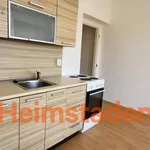 Rent 1 bedroom apartment of 21 m² in Stonava