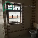 Rent 1 bedroom apartment of 250 m² in Napoli