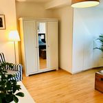 Miete 2 Schlafzimmer wohnung von 90 m² in Brunswick