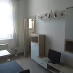 Rent 1 bedroom apartment in Praha 10