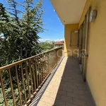 Rent 6 bedroom apartment of 232 m² in Ortona