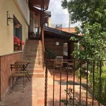 Rent 1 bedroom apartment of 50 m² in Mascalucia