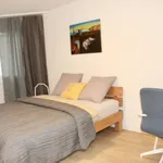 Reutlenring, Kloten - Amsterdam Apartments for Rent