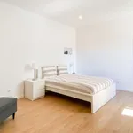 Rent 1 bedroom apartment in Lisbon