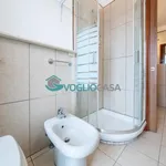 Rent 1 bedroom apartment of 35 m² in Milano