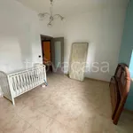 Rent 2 bedroom apartment of 45 m² in Torino