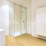 Rent 2 bedroom apartment of 140 m² in City of Zagreb