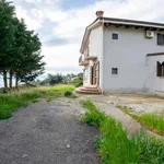 Affitto 8 camera casa di 260 m² in Palermo