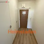 Rent 1 bedroom apartment of 28 m² in Orlová